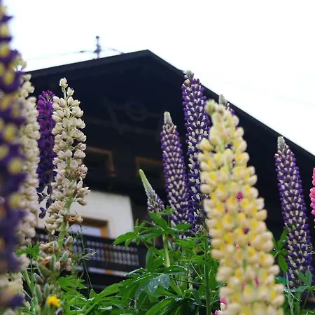 Gasthof Luggau Maria Luggau